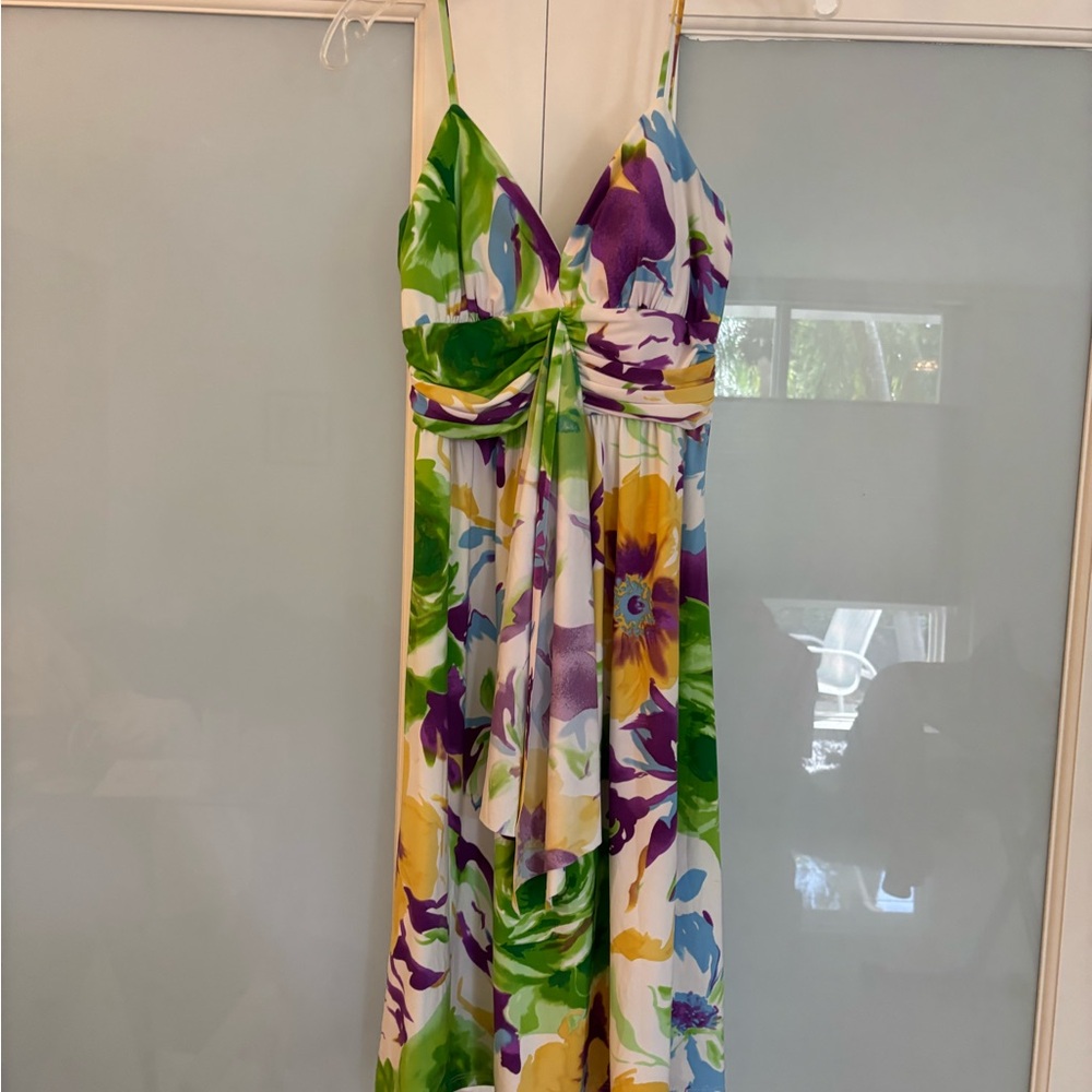 Alyn Paige Purple Green Yellow Floral Maxi Dress